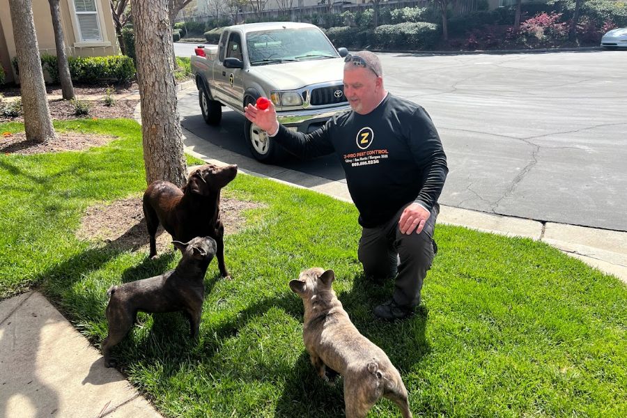 pest control morgan hill